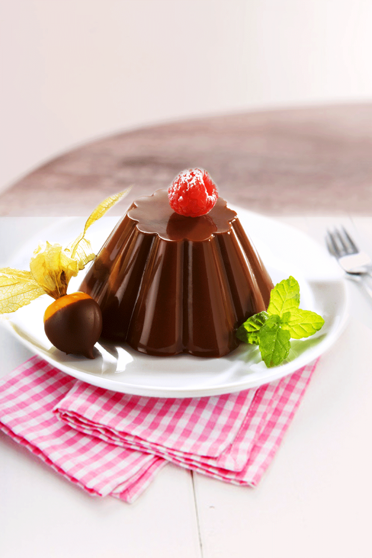 BUDINO-cioccolato-BIOSUN.png